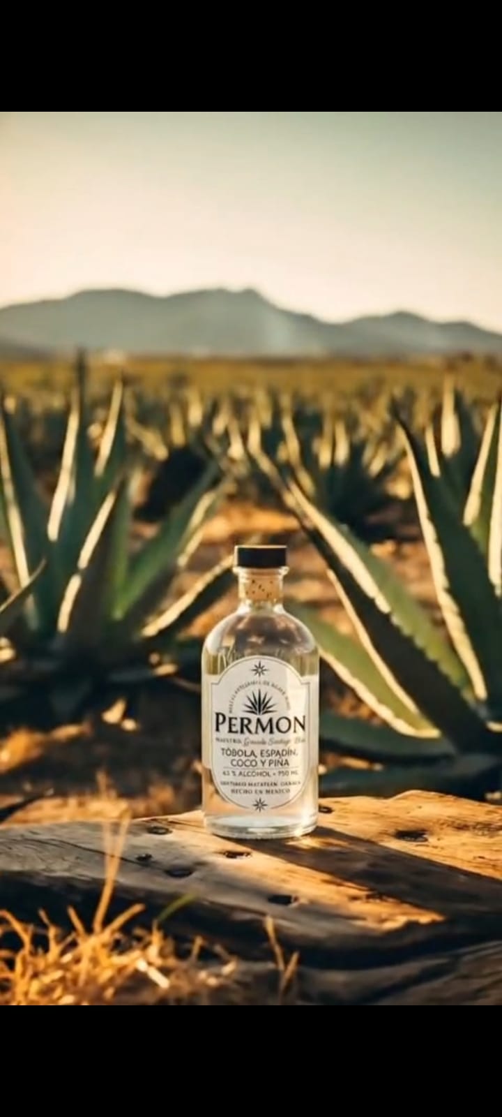 Botella PERMON entre agaves